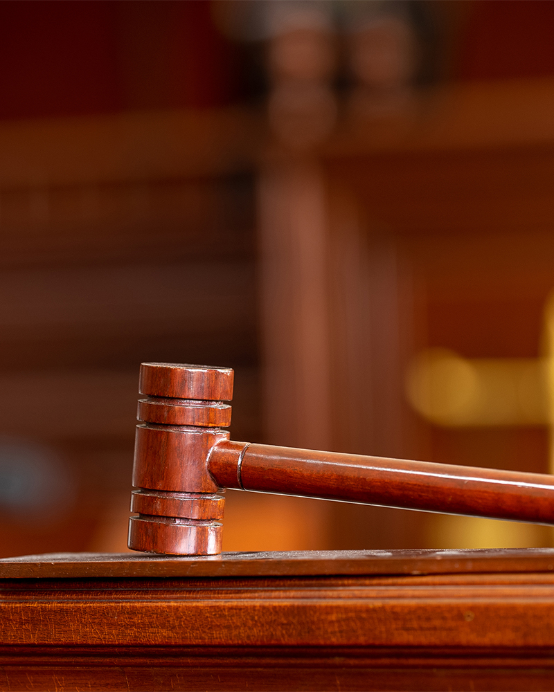 Consultation-Expert-Witness-Testimony-Dr-Nolan Consultation-Expert-Witness-Testimony-Dr-Nolan